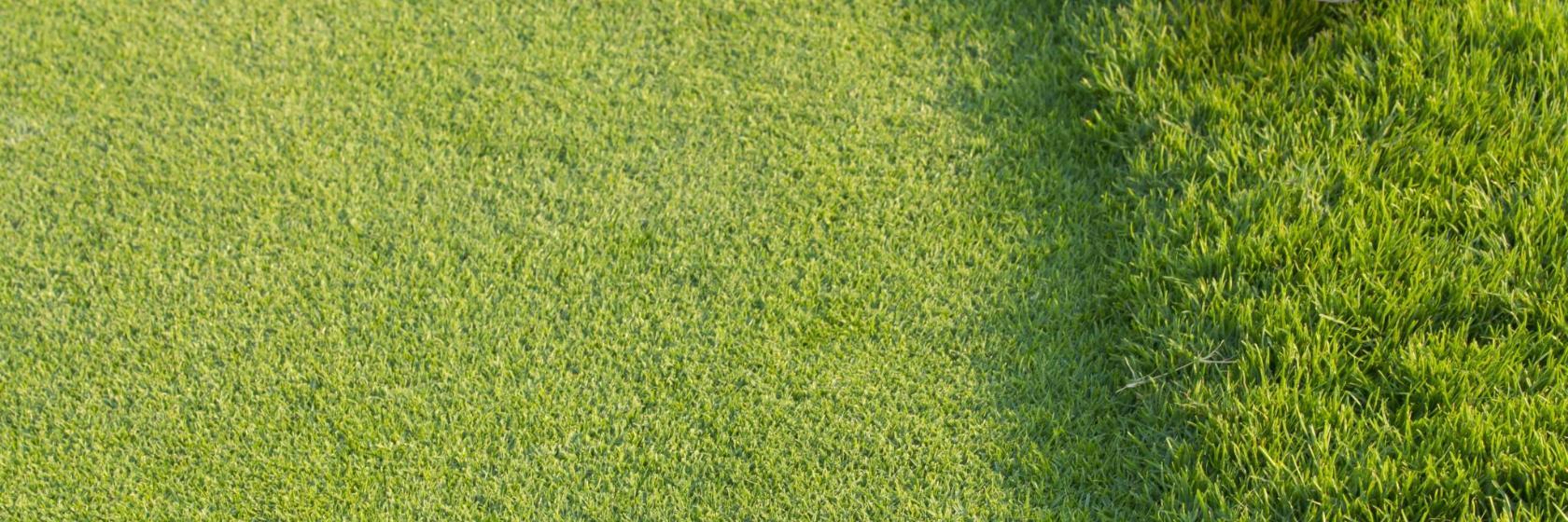 Campo de Golf La Cala